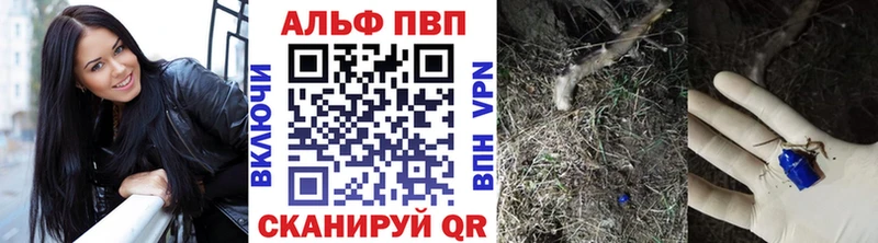 Alfa_PVP СК Приволжск