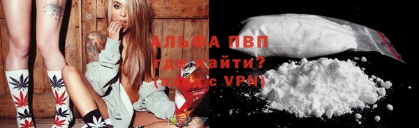гашик Михайловск