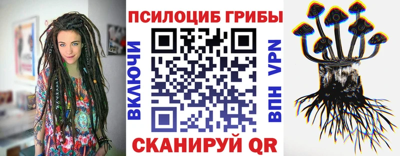 Галлюциногенные грибы прущие грибы  Приволжск 